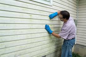 Best Fiber Cement Siding Installation  in Beecher, MI